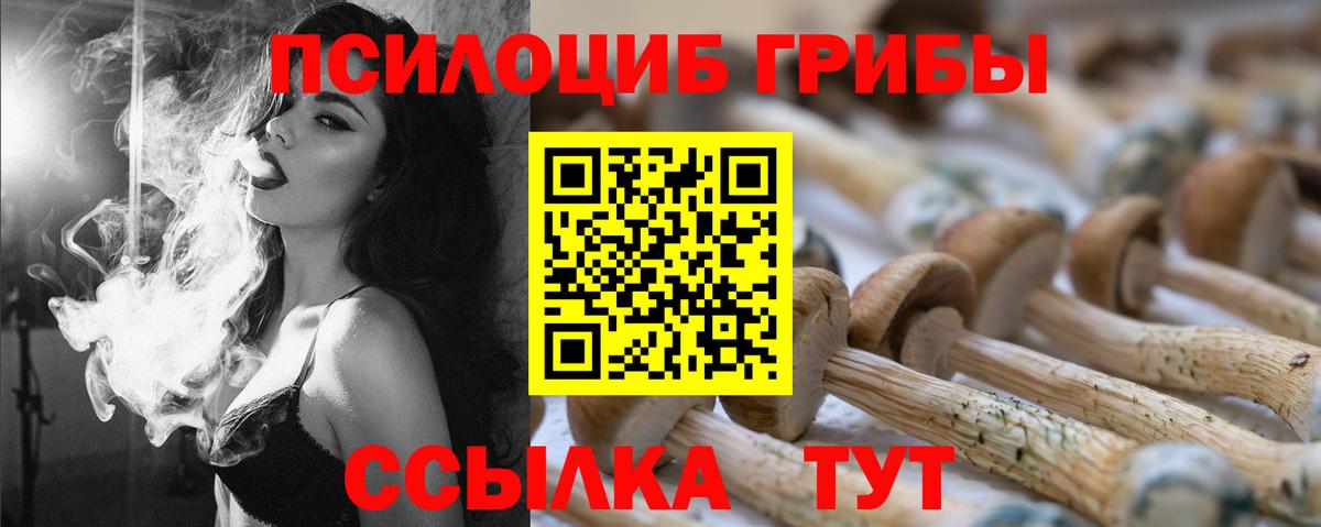 Псилоцибиновые грибы Psilocybe Губкинский